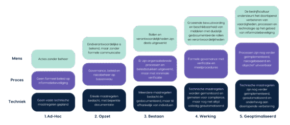 OneXillium - Cybersecurity Maturity Level